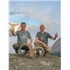Image 2 : #FR-21 Dagestan (Eastern) Tur Hunt, Azerbaijan