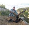 Image 2 : #FR-25 Beceite Ibex Hunt, Spain