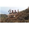 Image 2 : #FR-28 Archery Combo Hunt for Mule Deer, Whitetail, Rocky Mountain Elk and Black Bear, Idaho