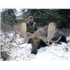 Image 2 : #SB-07 Canada Moose Hunt, British Columbia