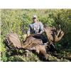 Image 3 : #SB-07 Canada Moose Hunt, British Columbia
