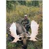 Image 4 : #SB-07 Canada Moose Hunt, British Columbia