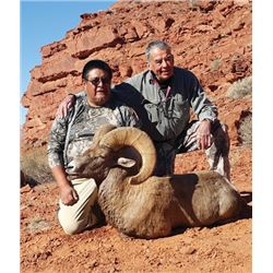 #SB-08 Desert Sheep Tag, Navajo Nation