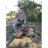 Image 2 : #SA-01 Whitetail Deer and Hybrid Sheep Hunt, Texas