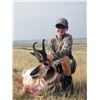 Image 2 : #SA-02 Archery Antelope Hunt, Wyoming