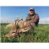 Image 2 : #SA-06 Golden Jackal and Roe Deer Hunt, Macedonia