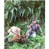 Image 2 : #SA-11 Roosevelt Elk Hunt, Oregon