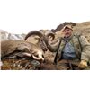 Image 2 : #SA-14 Himalayan Blue Sheep & Tahr Hunt, Nepal