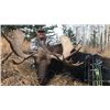 #SA-15 Archery Moose Hunt, Alberta