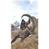 #SA-17 Mid-Asian Ibex Hunt, Kyrgyzstan or Tajikistan