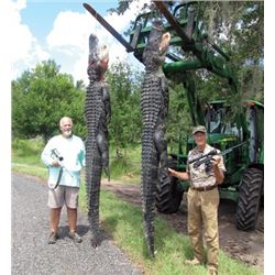 #SA-19 Trophy Alligator Hunt, Florida