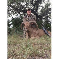 #SA-20 Texas Trio Hunt