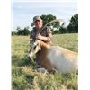 Image 3 : #SA-20 Texas Trio Hunt