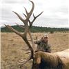 Image 2 : #SA-25 Muzzleloader Elk Hunt (with Archery Option) with Landowner Tag Included, New Mexico