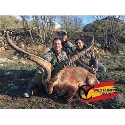 #SLA-42 Southeastern Ibex Hunt, Spain