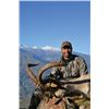 Image 2 : #SLA-42 Southeastern Ibex Hunt, Spain