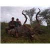 Image 3 : #SA-31 South Africa Safari, Limpopo Valley