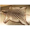 Image 1 : Large Zebra Rug