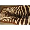 Image 2 : Large Zebra Rug