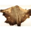 Image 2 : Painted Buffalo Hide
