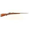 Image 1 : Winchester Model 70 .300 H&H SN: 437319