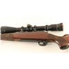 Image 3 : Winchester Model 70 SA .22-250 SN: G2470363