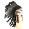 Image 1 : Indian War Bonnet