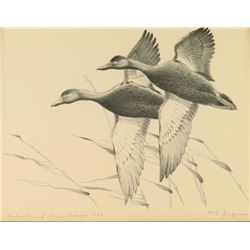 Duck Stamp & Print