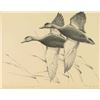 Image 1 : Duck Stamp & Print
