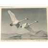 Image 1 : Duck Stamp & Print