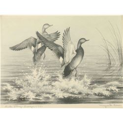 Duck Stamp & Print