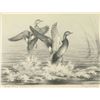 Image 1 : Duck Stamp & Print
