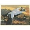 Image 1 : Duck Stamp & Print