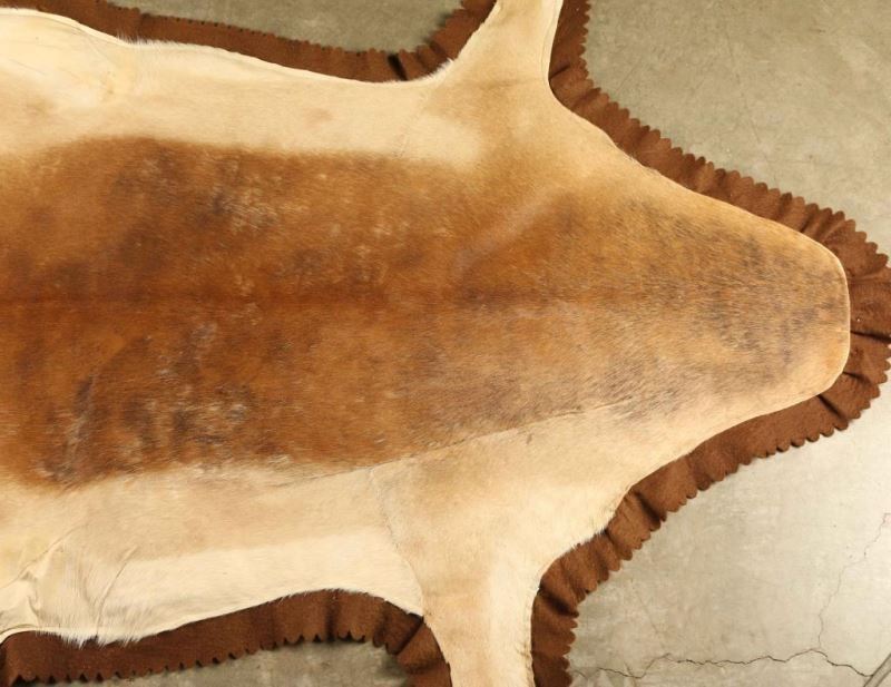 Impala Animal Rug Impala Rug