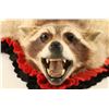 Image 3 : Raccoon Rug