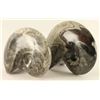 Image 2 : (2) Ammonite Fossils