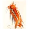 Image 2 : Crow Indian Head Roach