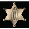 Image 2 : County Sheriff Badge