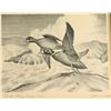 Image 2 : (2) Duck Stamps & Prints
