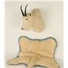 Image 2 : Mountain Goat Head & Pelt