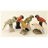 Image 1 : Bird Lover's Lot