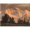 Image 1 : Original oil on board