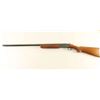 Image 2 : Sakaba Model 355 20 Ga SN: 12340