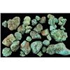 Image 1 : Genuine Campitos Turquoise