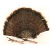 Image 1 : Turkey Feet & Fan
