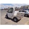 Image 8 : 2009 GEM ELECTRIC GOLF CART