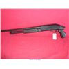 Image 2 : CHARLES DAILY 12G