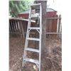 Image 1 : STEP LADDER