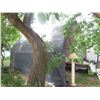 Image 2 : TARP GARAGE, LIKE NEW, 12WX20LX13H
