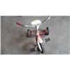 Image 2 : ROAD KING TRIKE
